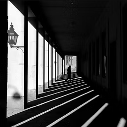 Perspectivas